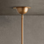 Saguara Chandelier