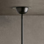 Saguara Chandelier